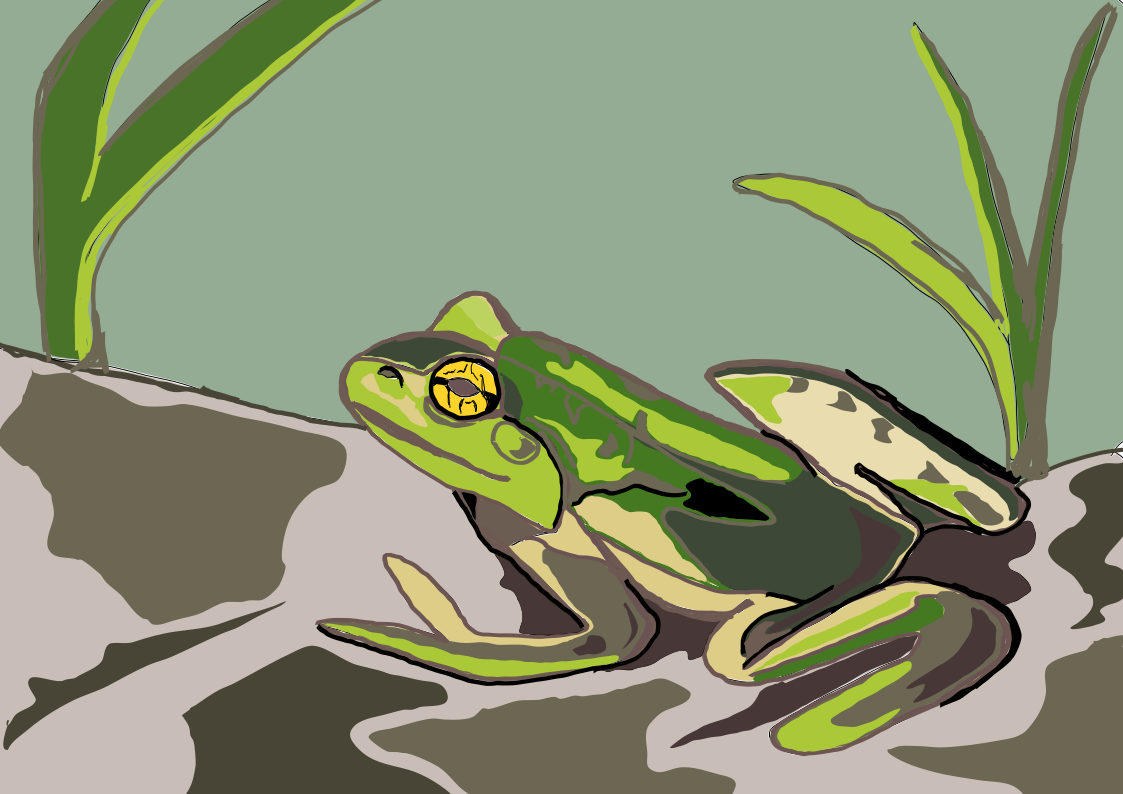 frog.png